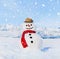 Real Snowman Outdoors In White Scenery
