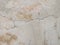 real stone, granite, marble floor, random abstract natural motifs