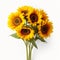 Real Sunflower Bunch On Green Background - Irving Penn Style