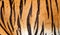 Real Tiger Fur Texture Striped Pattern Background
