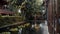 Real time shot of the restaurant's cozy courtyard with a pond where Koi carp swim in Bangkok, Thailand.