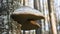 The real tinder Fomes fomentarius is a mushroom from the Coriol family