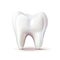 real tooth white on white background