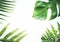 Real tropical leaves set pattern backgrounds on white.flat lay