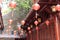 Real wood structure of hongshan temple