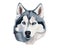 Realisctic husky wolf face vector illustration on isolated white background