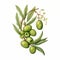 Realism Green Olives Painting With Detailed Illustrations