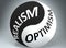 Realism and optimism in balance - pictured as words Realism, optimism and yin yang symbol, to show harmony between Realism and