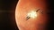Realistic 3D animation of spaceship flying on Mars
