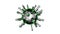 Realistic 3D of the bacterium Coronavirus 2019-nCoV Wuhan. SARS-CoV-2 known as 2019-nCoV, COVID-19. Seamless loop. Alpha