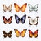 Realistic 3d Butterflies In Eight Different Colors - Chic Illustrations