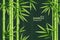 Realistic 3d Detailed Bamboo Chinese Green Plant Background Card. Vector