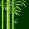 Realistic 3d Detailed Bamboo Japanese or Chinese Green Plant Background Card. Vector