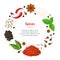 Realistic 3d Detailed Classic Spices Banner Card Circle. Vector