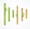 Realistic 3d Detailed Green and Brown Bamboo Set. Vector