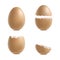 Realistic 3d Detailed Various Closeup Shell Eggs Set. Vector