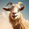 Realistic 3d Goat Portrait Clipart For Animal Farm Illustrations