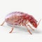 Realistic 3d Illustration Of A Large Red Flea On Transparent Background