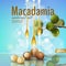 Realistic 3d macadamia nut oil cosmetic shell ad template. Branch leaves nutshell. Light summer sky sunny beauty care