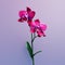 Realistic 3d Magenta Orchid In Mario Video Game Art Style