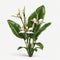 Realistic 3d Model Of Leafy Lily Flowers With Tropical Symbolism And Balinese Motifs