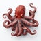 Realistic 3d Octopus Creature Sculpture On White Background