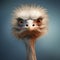 Realistic 3d Ostrich Clipart: Satirical Cartoons And Humorous Distortions