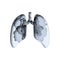 Realistic 3D paper cut human lung with black smoke inside