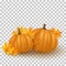 Realistic 3d pumpkins with maple leaves isolated on transparent background. Fall background for Thanksgiving or Halloween. Autumn