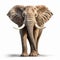 Realistic 3d Render Of Elephant With Distinctive Nose On White Background
