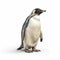 Realistic 3d Render Of Penguin On White Background