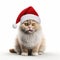 Realistic 3d Rendering Of Cat Wearing Santa Hat On White Background