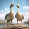 Realistic 3d Rendering Of Geese On A Rock Above Water