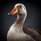 Realistic 3d Renderings Of A White And Orange Goose Clipart