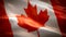 Realistic 3d seamless looping Canada flag waving in the wind.