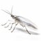 Realistic 3d Silverfish On White Background - Manapunk Caninecore Art