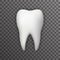 Realistic 3d Tooth Poster Transperent Stomatology Icon Template Background Mock Up Design Vector Illustration