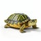 Realistic 3d Turtle On White Surface - Hyper-detailed Rendering