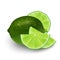 Realistic 3d Vector Illustration of sliced green lime fruit. Col