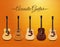 Realistic Acoustic Guitar Collection Design