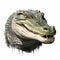 Realistic Alligator Head On White Background - Hyper-realistic Urban Art