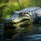 Realistic Alligator Rendering With Stunning Detail