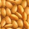 Realistic almonds texture. Seamless pattern. Template for background, wallpaper, postcard, print, textile. Vector illustrat