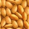 Realistic almonds texture. Seamless pattern. Template for background, wallpaper, postcard, print, textile. Vector illustrat