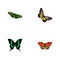 Realistic American Painted Lady, Beauty Fly, Green Peacock And Other Vector Elements. Set Of Moth Realistic Symbols Also