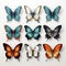 Realistic Anamorphic Art: Colorful Butterfly Set On White Background