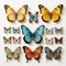 Realistic Anamorphic Butterfly Collection On White Background