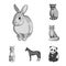 Realistic animals monochrome icons in set collection for design. Wild and domestic animals vector symbol stock web