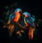 Realistic Animated images of two beautiful parrots