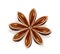 Realistic anise star, dry aniseed isolated. Chinese winter spice, badian with seeds of staranise